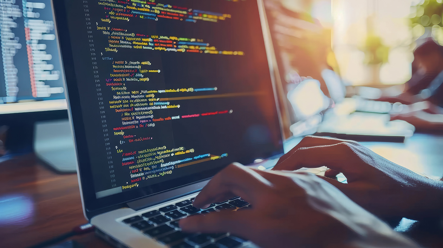 Software Development